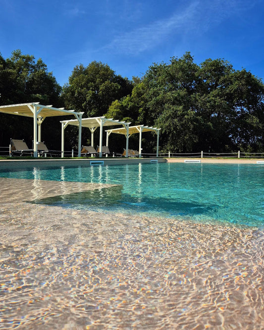 Pini 1920 firma i nuovi giardini della Tenuta Aronne di Massa Marittima
