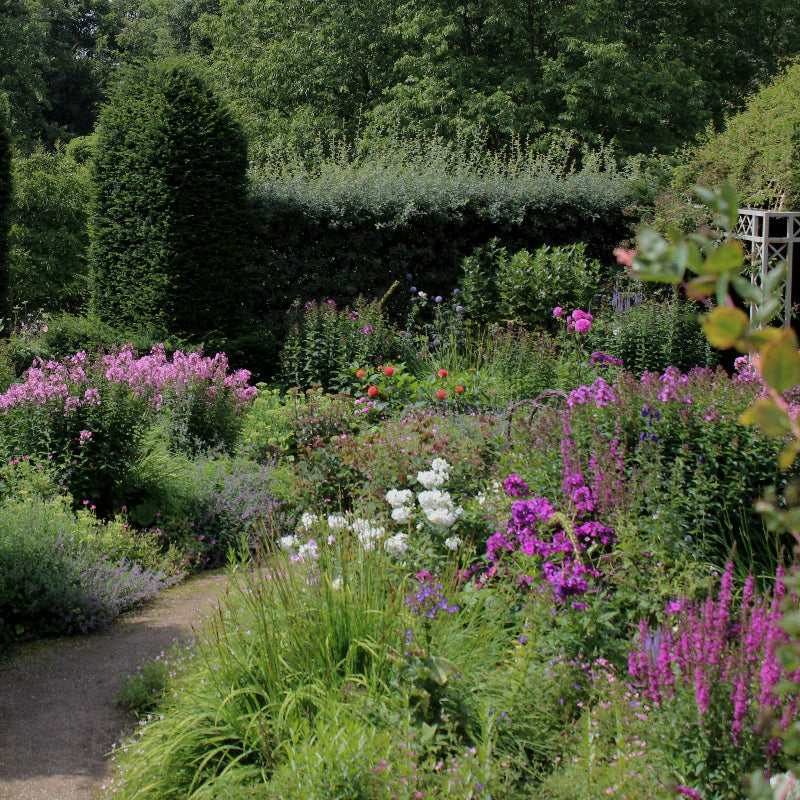 Guida al Giardino all'Inglese