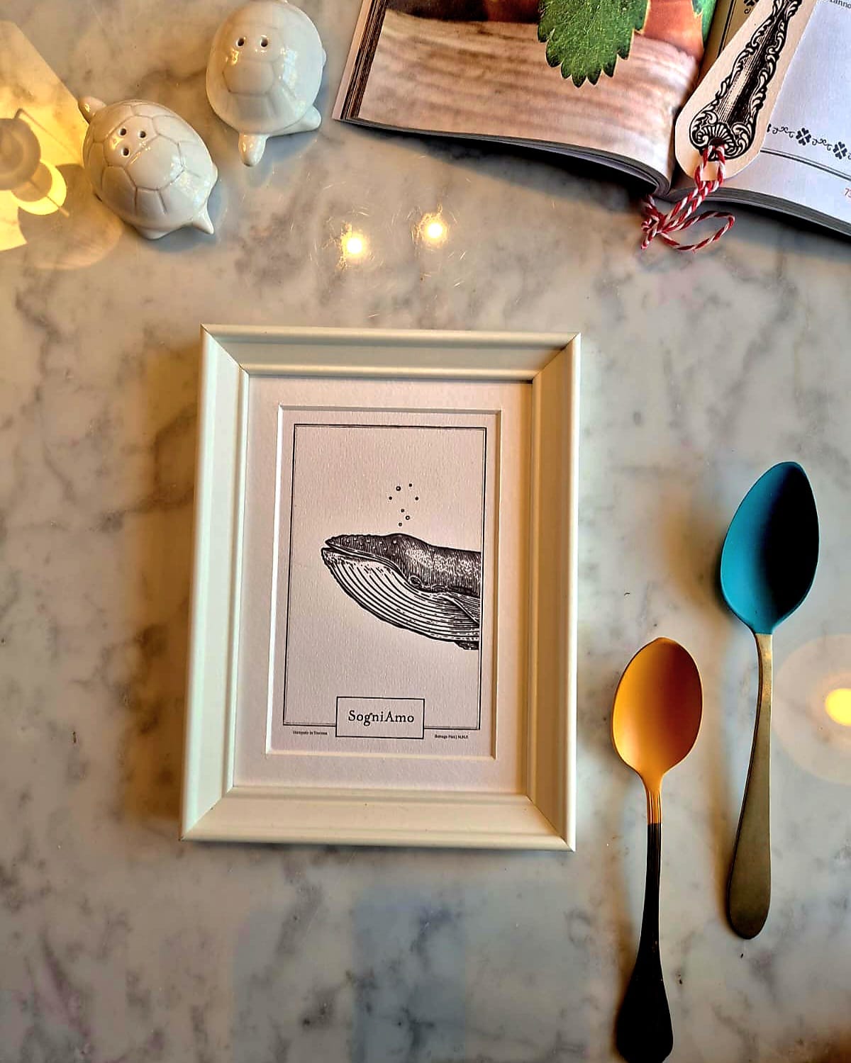 "We dream..." 13x18 frame