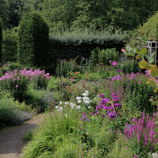 Guida al Giardino all'Inglese