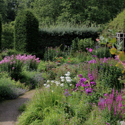 Guida al Giardino all'Inglese