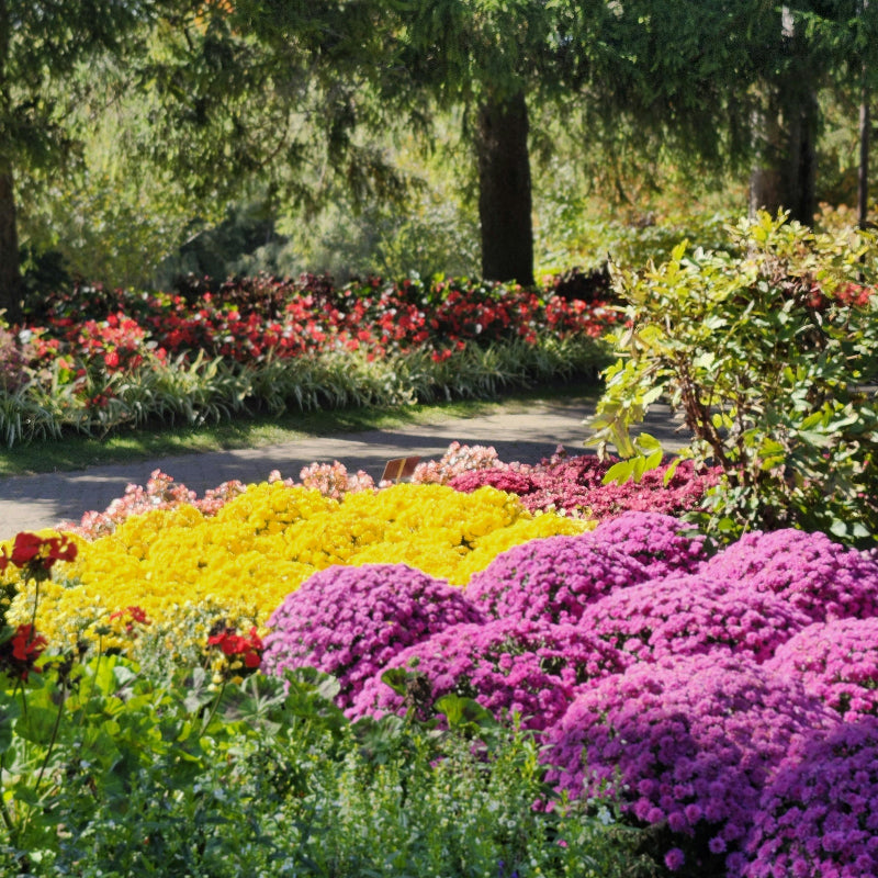 giardino